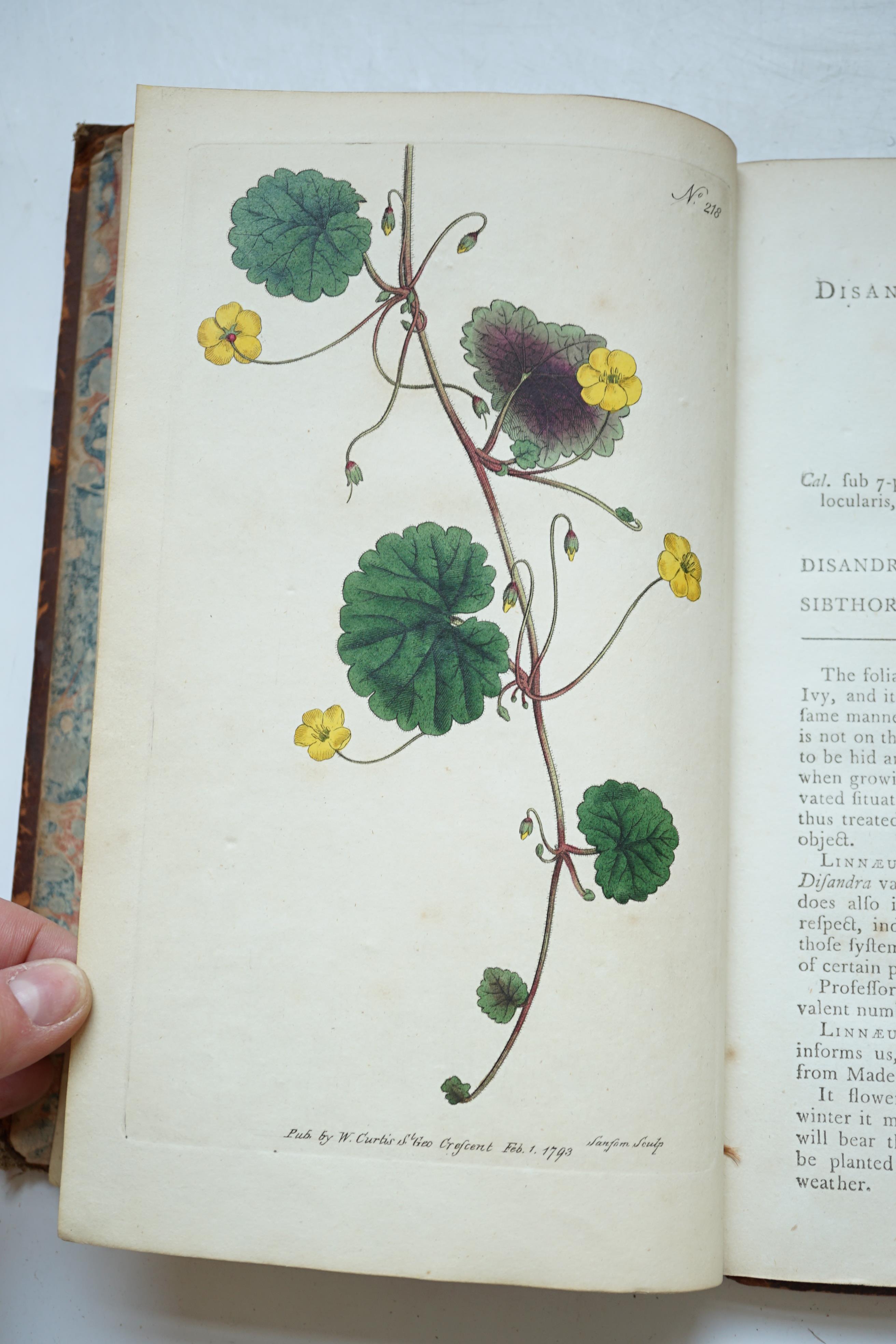 Curtis, William - The Botanical Magazine; or, Flower-Garden Displayed, vol. 7 only, 34 hand-coloured engraved plates, 8vo, calf, joints split, London, 1794